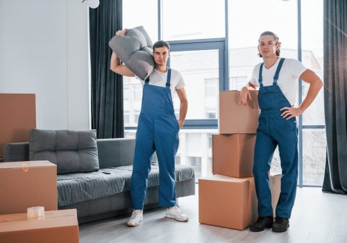 Busy day. Two young movers in blue uniform working indoors in the room.